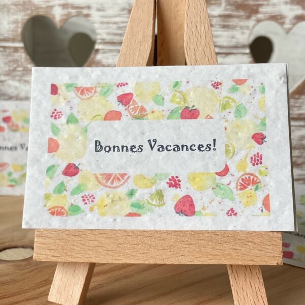 Lot de 10 mini cartes “Bonnes vacances” – Fleurs sauvages