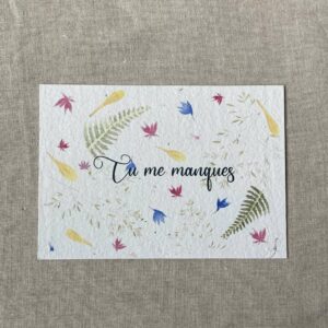 Carte à planter représentant des végétaux illustrés a l'aquarelle et la phrase "tu me manques"