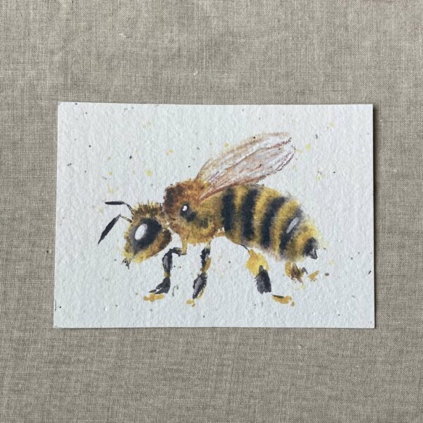 Abeille aquarelle – Carte à planter A6