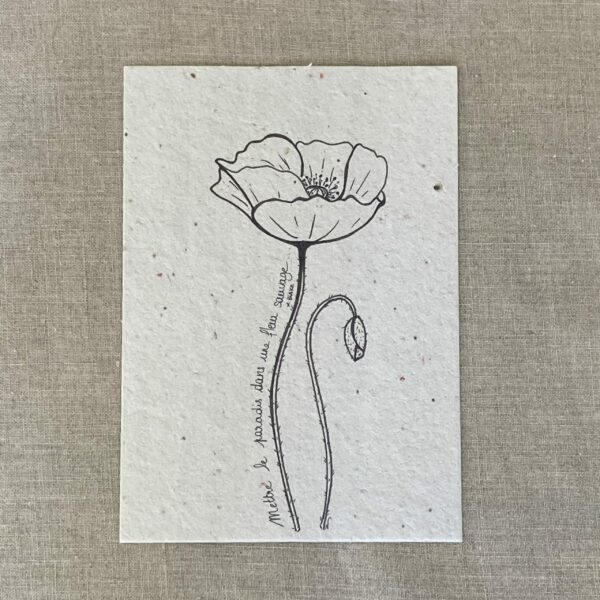 Coquelicot noir & blanc- Carte à planter A6