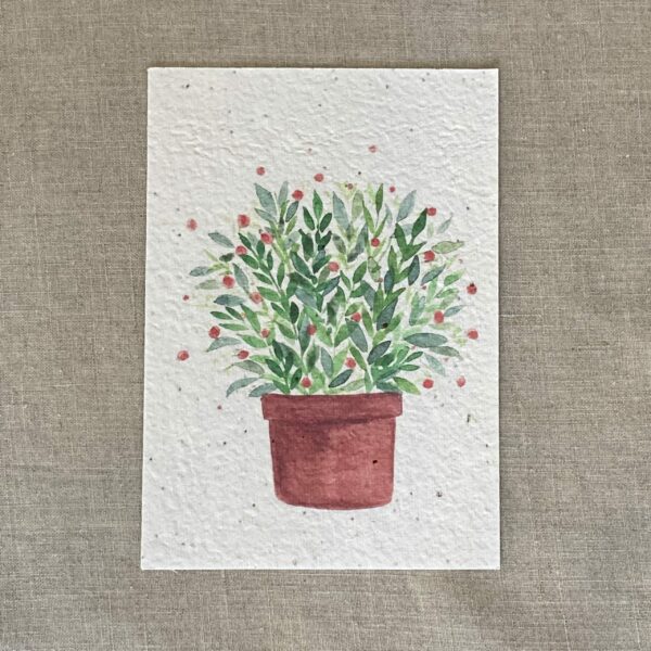 Plante boules rouges – Carte à planter A6