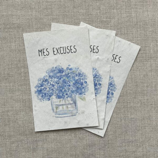 Mes excuses hortensias – lot de 10 mini cartes – Fleurs sauvages