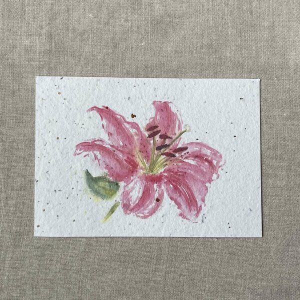 Lys rose – Carte à planter A6