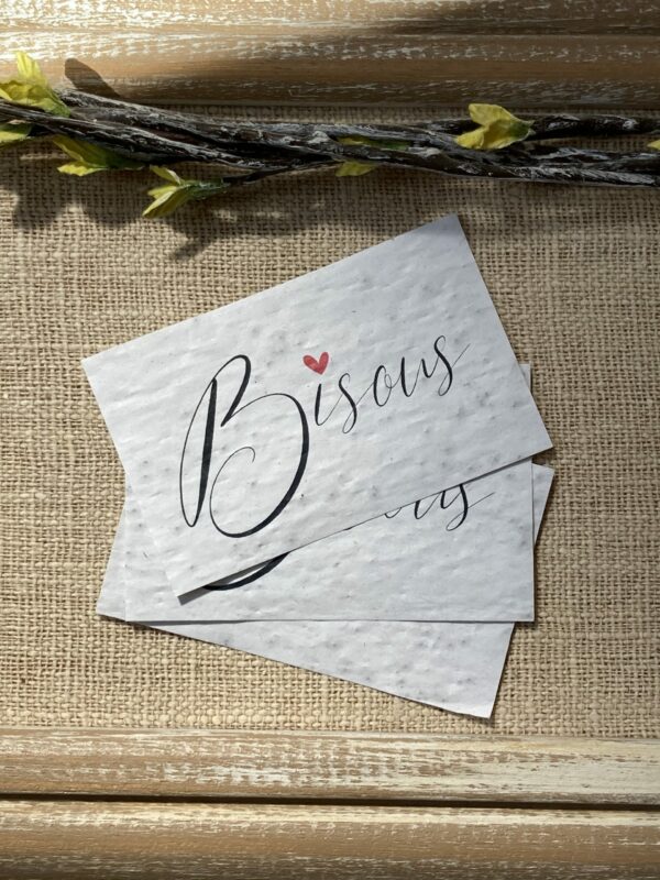 Lot de 10 mini cartes “Bisous” – fleurs sauvages