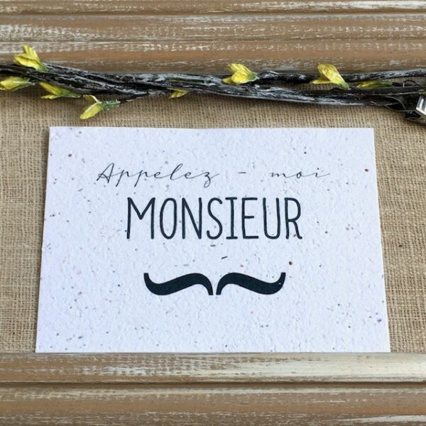 Monsieur – carte à planter A6