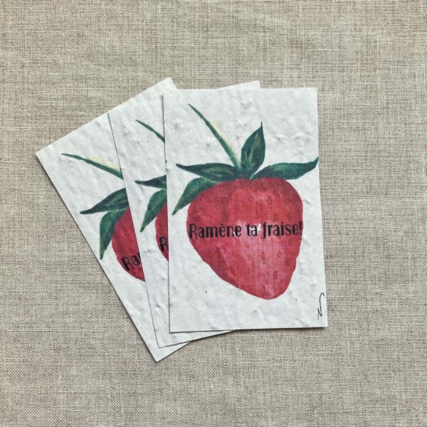 Ramène ta fraise! – lot de 10 mini cartes – Graines de Fraises