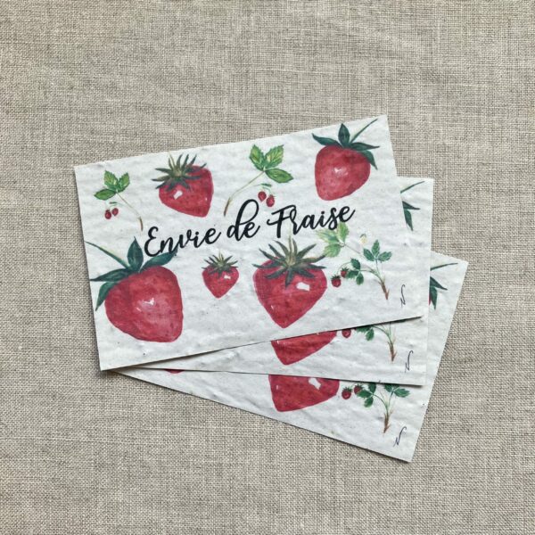 Envie de Fraises – lot de 10 mini cartes – Graines de Fraises