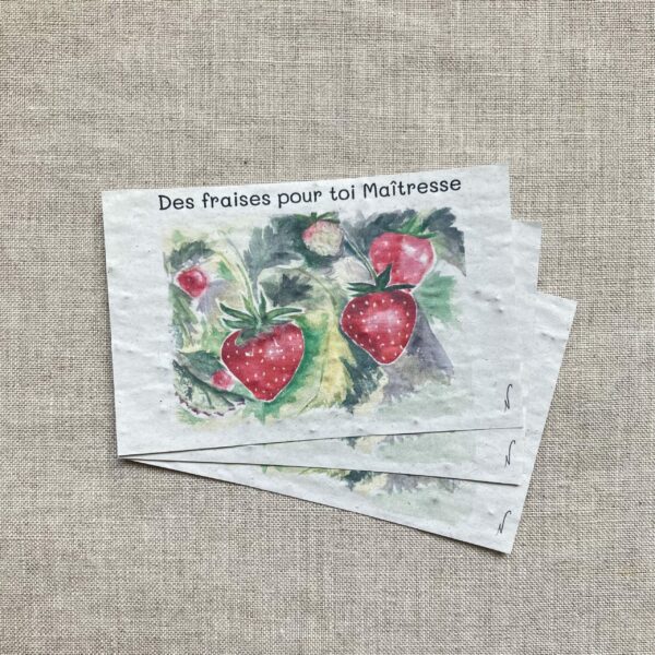 Des fraises pour toi maitresse – lot de 10 mini cartes – Graines de Fraises