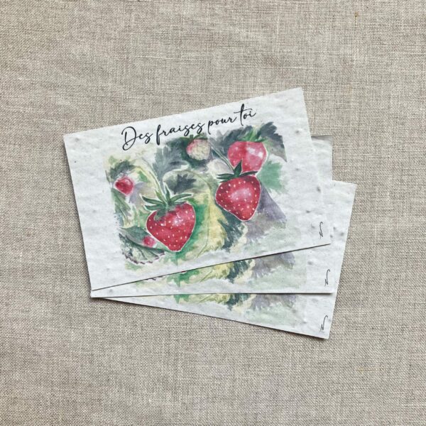 Des fraises pour toi – lot de 10 mini cartes – Graines de Fraises