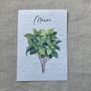 Bouquet de Menthe peint à l'aquarelle sur fond blanc, surmonté du texte Merci en noir