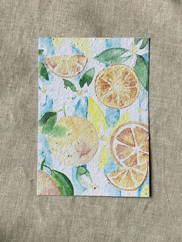 Oranges aquarelle – Carte à planter A6